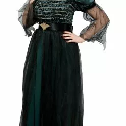 Queen Of The Vampires Plus Adult Costume