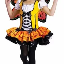 Butterfly Princess Costume