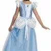 Cinderella Costume