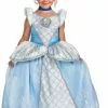 Cinderella Costume