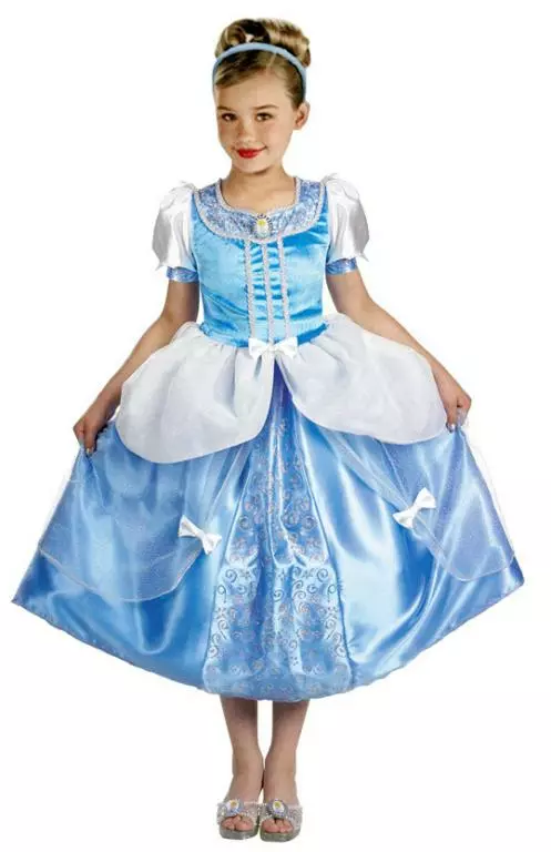 Cinderella Costume 1 Cinderella Costume