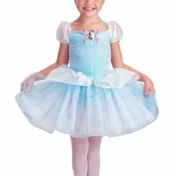 Cinderella Costume