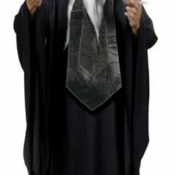 Sensei Master Adult Costume