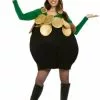 Pot-O-Gold Adult Costume