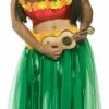 Dashboard Hula Guy Adult Costume
