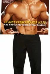 Magazine Cover - Muscle & Fitness, Body Builder