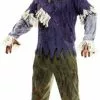 Scarecrow Adult Costume
