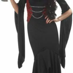 Madame Macabre Adult Costume