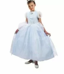 Cinderella Costume