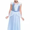 Cinderella Costume