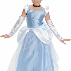 Cinderella Costume